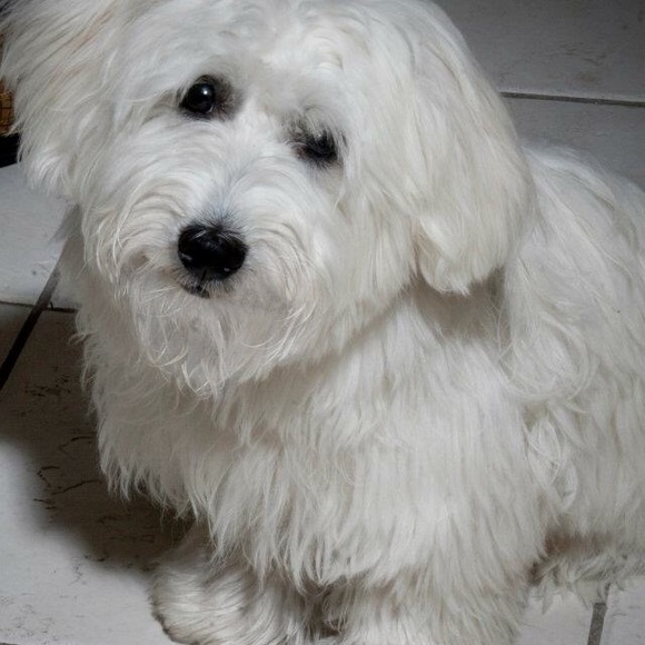 Meet your Posher, Kim - Picture 1 of 1